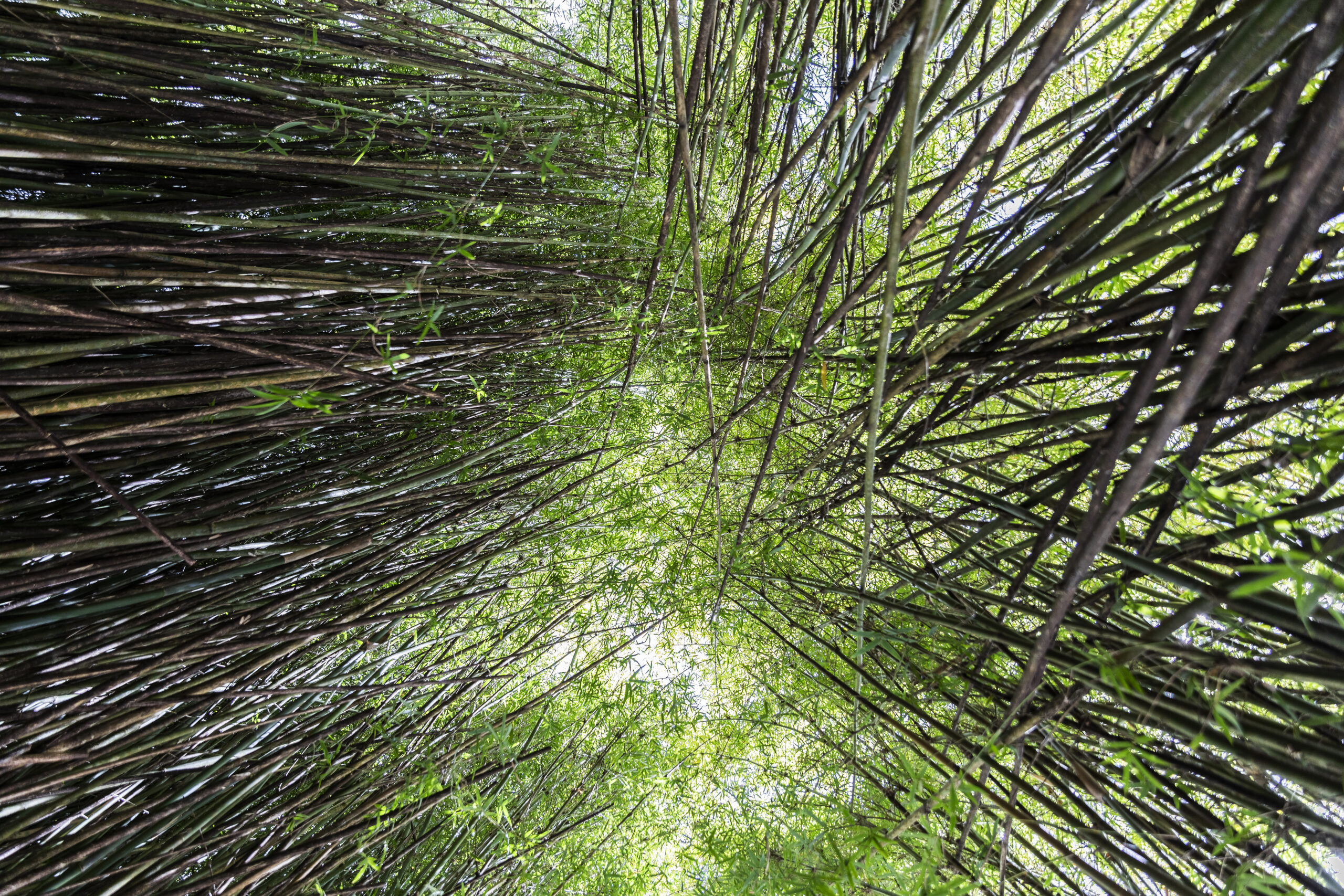 La fibre booster de l’attractivité de notre territoire